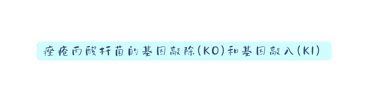 痤疮丙酸杆菌的基因敲除 KO 和基因敲入 KI